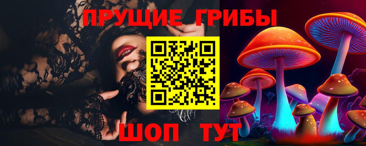 Елец  Галлюциногенные грибы прущие грибы  Вход с VPN 